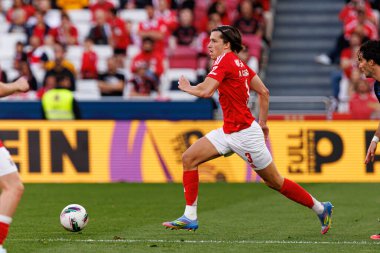 Alvaro Carreras, Liga Portekiz maçında SL Benfica ve FC Arouca (Maciej Rogowski) takımları arasında görüldü.)