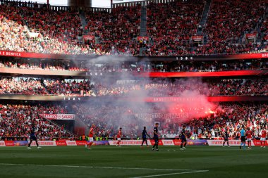 Benfica taraftarları Liga Portekiz maçında SL Benfica ve FC Arouca (Maciej Rogowski) takımları arasında görüldü.)
