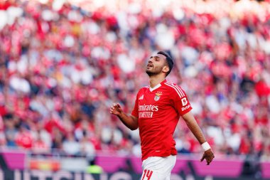 SL Benfica ve FC Arouca (Maciej Rogowski) takımları arasında oynanan Liga Portekiz maçında Vangelis Pavlidis görüldü)