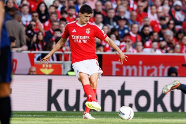 Antonio Silva Liga Portekiz maçı sırasında SL Benfica ve FC Arouca (Maciej Rogowski) takımları arasında görüldü.)