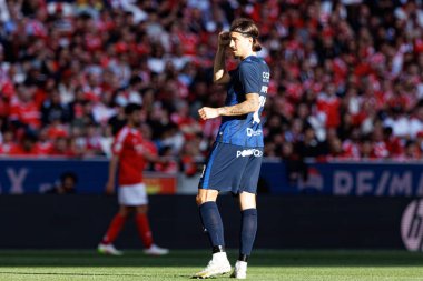 Boris Popoviç Liga Portekiz maçı sırasında SL Benfica ve FC Arouca (Maciej Rogowski) takımları arasında görüldü.)