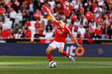 Alvaro Carreras, Liga Portekiz maçında SL Benfica ve FC Arouca (Maciej Rogowski) takımları arasında görüldü.)