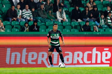 Cin Catamo, Liga Portekiz maçı sırasında Estadio Jose Alvalade 'de (Maciej Rogowski) spor takımları ile Gil Vicente FC arasında görüldü.)