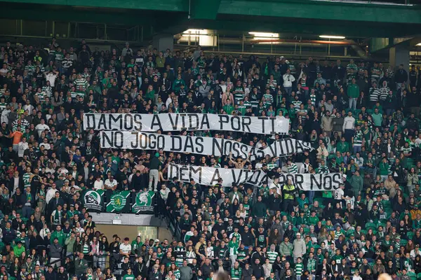 Spor taraftarları Liga Portekiz maçı sırasında Estadio Jose Alvalade 'de (Maciej Rogowski) spor takımları ile Gil Vicente FC arasında görüldü.)