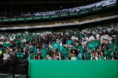 Spor taraftarları Liga Portekiz maçı sırasında Estadio Jose Alvalade 'de (Maciej Rogowski) spor takımları ile Gil Vicente FC arasında görüldü.)