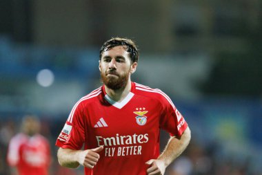 Liga Portekiz maçı sırasında Estoril Praia ve SL Benfica takımları arasında Estadio Antonio Coimbra da Mota 'da görüldü (Maciej Rogowski)