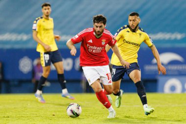 Liga Portekiz maçı sırasında Estoril Praia ve SL Benfica takımları arasında Estadio Antonio Coimbra da Mota 'da görüldü (Maciej Rogowski)