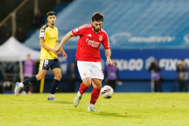 Liga Portekiz maçı sırasında Estoril Praia ve SL Benfica takımları arasında Estadio Antonio Coimbra da Mota 'da görüldü (Maciej Rogowski)