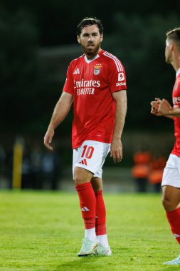 Liga Portekiz maçı sırasında Estoril Praia ve SL Benfica takımları arasında Estadio Antonio Coimbra da Mota 'da görüldü (Maciej Rogowski)