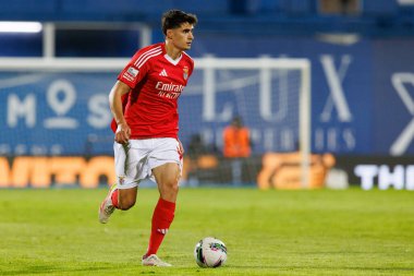 Antonio Silva, Liga Portekiz maçı sırasında Estoril Praia ve SL Benfica takımları arasında Estadio Antonio Coimbra da Mota 'da görüldü (Maciej Rogowski)