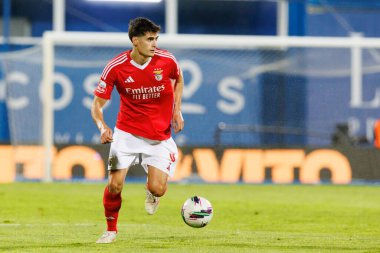 Antonio Silva, Liga Portekiz maçı sırasında Estoril Praia ve SL Benfica takımları arasında Estadio Antonio Coimbra da Mota 'da görüldü (Maciej Rogowski)