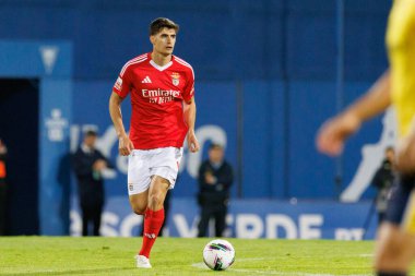 Antonio Silva, Liga Portekiz maçı sırasında Estoril Praia ve SL Benfica takımları arasında Estadio Antonio Coimbra da Mota 'da görüldü (Maciej Rogowski)