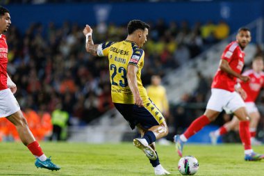 Pedro Alvaro, Liga Portekiz maçı sırasında Estoril Praia ve SL Benfica takımları arasında Estadio Antonio Coimbra da Mota 'da görüldü (Maciej Rogowski)