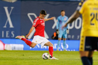 Antonio Silva, Liga Portekiz maçı sırasında Estoril Praia ve SL Benfica takımları arasında Estadio Antonio Coimbra da Mota 'da görüldü (Maciej Rogowski)