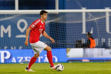 Antonio Silva, Liga Portekiz maçı sırasında Estoril Praia ve SL Benfica takımları arasında Estadio Antonio Coimbra da Mota 'da görüldü (Maciej Rogowski)