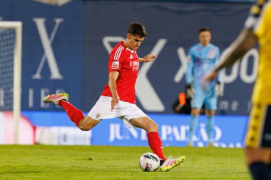 Antonio Silva, Liga Portekiz maçı sırasında Estoril Praia ve SL Benfica takımları arasında Estadio Antonio Coimbra da Mota 'da görüldü (Maciej Rogowski)
