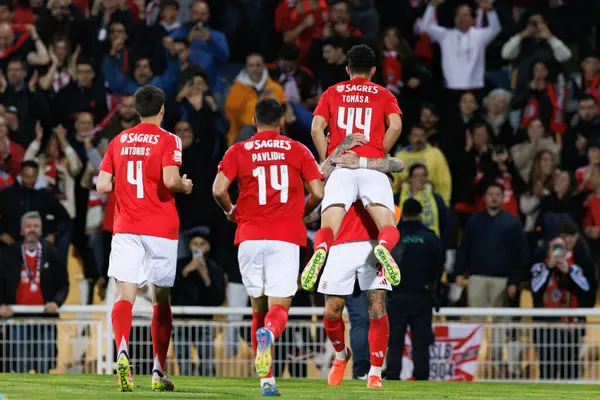 Benfica 'nın oyuncuları Liga Portekiz maçında GD Estoril Praia ile Estadio Antonio Coimbra da Mota' daki SL Benfica takımları arasında Nicolas Otamendi 'den gol üstüne gol atarken görüldü (Maciej Rogowski)