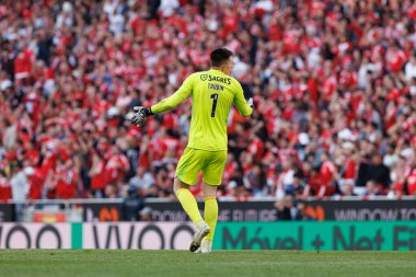 Anatoliy Trubin, Liga Portekiz maçı sırasında SL Benfica ve Sporting CP (Maciej Rogowski)