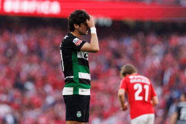 Francisco Trincao, Liga Portekiz maçı sırasında SL Benfica ve Sporting CP (Maciej Rogowski)