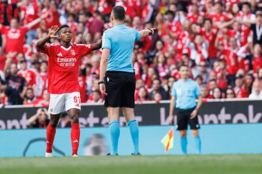 Florentino Luis ve Joao Pedro Pinheiro Liga Portekiz maçı sırasında SL Benfica ve Sporting CP (Maciej Rogowski)