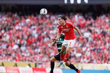 Alvaro Carreras, Liga Portekiz maçı sırasında SL Benfica ve Sporting CP (Maciej Rogowski) takımları arasında görüldü.)