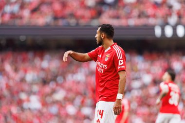 SL Benfica ve Sporting CP (Maciej Rogowski) takımları arasında oynanan Liga Portekiz maçında Vangelis Pavlidis görüldü)