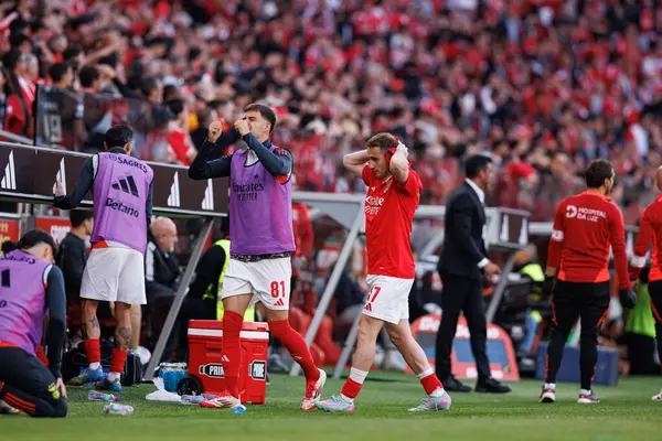 Adrian Bayrami ve Kerem Akturkoglu, Liga Portekiz maçı sırasında SL Benfica ve Sporting CP (Maciej Rogowski) takımları arasında görüldü.)