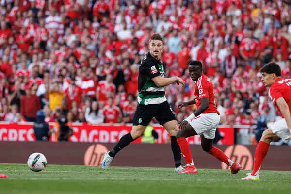 SL Benfica ve Sporting CP (Maciej Rogowski) takımları arasında Liga Portekiz maçında Viktor Gyokeres görüldü)