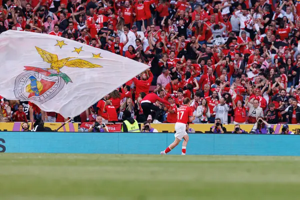 Kerem Akturkoglu, SL Benfica ve Sporting CP (Maciej Rogowski) takımları arasındaki Liga Portekiz maçında gol attıktan sonra kutlama yaparken görüldü.)