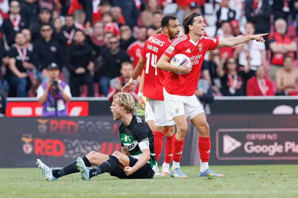 Morten Hjulmand ve Alvaro Carreras, Liga Portekiz maçı sırasında SL Benfica ve Sporting CP (Maciej Rogowski)