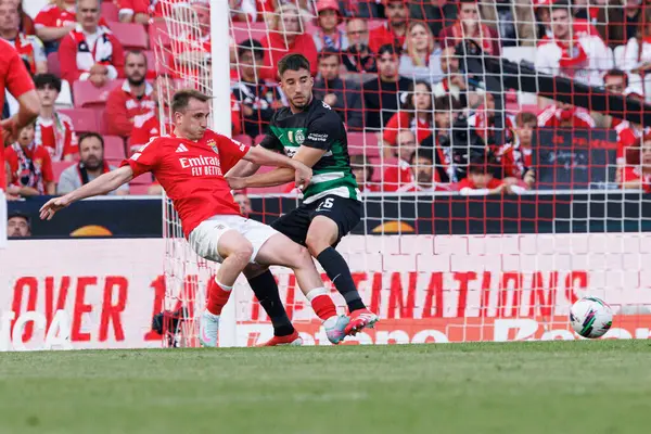 Kerem Akturkoglu ve Goncalo Inacio, Liga Portekiz maçı sırasında SL Benfica ve Sporting CP (Maciej Rogowski)
