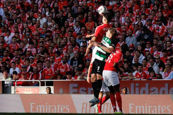 Tomas Araujo ve Viktor Gyokeres Liga Portekiz maçı sırasında SL Benfica ve Sporting CP (Maciej Rogowski)