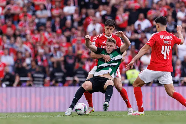 Viktor Gyokeres ve Antonio Silva Liga Portekiz maçı sırasında SL Benfica ve Sporting CP (Maciej Rogowski)