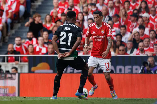 Geny Catamo ve Angel Di Maria Liga Portekiz maçı sırasında SL Benfica ve Sporting CP (Maciej Rogowski) takımları arasında görüldü.)