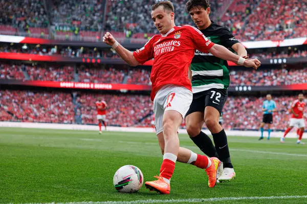 SL Benfica ve Sporting CP (Maciej Rogowski) takımları arasında Liga Portekiz maçında Kerem Akturkoglu ve Eduardo Quaresma görüldü)