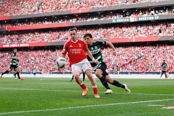 SL Benfica ve Sporting CP (Maciej Rogowski) takımları arasında Liga Portekiz maçında Kerem Akturkoglu ve Eduardo Quaresma görüldü)