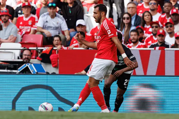 SL Benfica ve Sporting CP (Maciej Rogowski) takımları arasında oynanan Liga Portekiz maçında Vangelis Pavlidis görüldü)