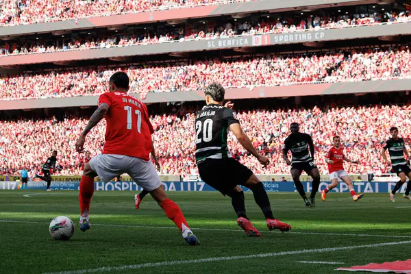 Angel Di Maria ve Maximiliano Araujo Liga Portekiz maçı sırasında SL Benfica ve Sporting CP (Maciej Rogowski)