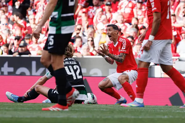 Angel Di Maria Liga Portekiz maçı sırasında SL Benfica ve Sporting CP (Maciej Rogowski) takımları arasında görüldü.)