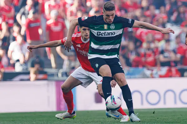 Antonio Silva ve Viktor Gyokeres Liga Portekiz maçı sırasında SL Benfica ve Sporting CP (Maciej Rogowski)