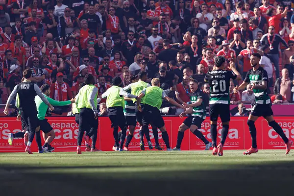 SL Benfica ve Sporting CP (Maciej Rogowski) takımları arasında Liga Portekiz maçında Francisco Trincao 'dan gol üstüne gol atarken görüldü.)
