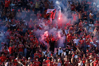Benfica taraftarları Taca de Portugal 2025 final maçında SL Benfica ve Sporting CP (Maciej Rogowski)