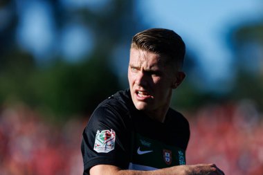 Viktor Gyokeres, SL Benfica ve Sporting CP (Maciej Rogowski) takımları arasında oynanan Taca de Portugal 2025 final maçında görüldü.)