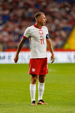 Kamil Grosicki, Polonya ve Moldova milli takımları arasında oynanan uluslararası dostluk maçı sırasında görüldü (Maciej Rogowski))