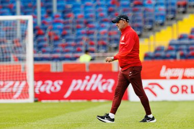 Michal Probierz, Polonya ve Moldova milli takımları arasında oynanan uluslararası dostluk maçı sırasında görüldü (Maciej Rogowski)