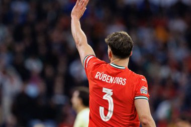 Ruben Dias, UEFA Uluslar Ligi 2025 final maçında Portekiz ve İspanya milli takımları arasında görüldü (Maciej Rogowski)