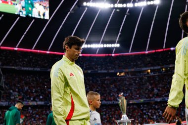 Robin Le Normand, UEFA Uluslar Ligi 2025 final maçında Portekiz ve İspanya milli takımları arasında görüldü (Maciej Rogowski)