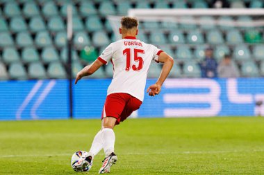 Michal Gurgul, Polonya ve Gürcistan milli takımları arasında oynanan UEFA Euro U-21 2025 maçında görüldü (Maciej Rogowski)