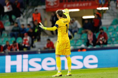 Kacper Tobiasz, Polonya ve Gürcistan milli takımları arasında oynanan UEFA U-21 2025 maçında görüldü (Maciej Rogowski)