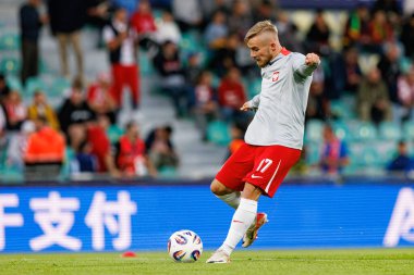 Mariusz Fornalczyk UEFA Euro U-21 2025 maçında Polonya ve Gürcistan milli takımları arasında görüldü (Maciej Rogowski)